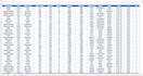do excel data entry, formulas,pivot tables and visualization