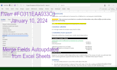 automate excel, word, and outlook with vba or python