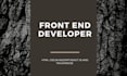 do front end web developer in react js