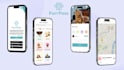 create a responsive design mobile app and website