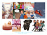 illustrate your childrens story book