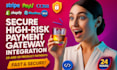 integrate high risk payment gateway for ecommerce website 2d 3d product payment