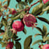 line art illustrations, botanical flowers, plants