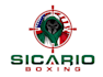 design modern boxing logo