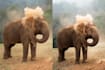 professionally edit your wildlife and nature photos
