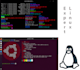 do any linux tasks
