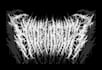 make professional and detailed death metal logo