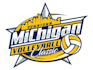 design modern volleyball logo