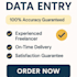 accurate data entry, copy paste, and excel data input
