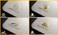 elevate your brand with a professional logo design