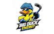 design proffesional duck logo