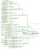 do rtl design and verification using verilog, systemverilog