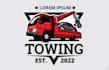 do proffesional towing logo