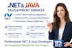 be your java spring boot dot net expert