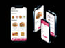 develop flutter app with amazing UI