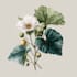 make botanical illustration with hand drawn