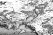 create fantasy maps and city maps