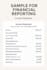 provide financial reporting services