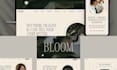 design redesign customize showit website or showit template