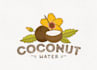 do modern professional coconut water logo
