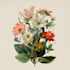 do a botanical watercolor illustration, floral drawing