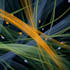 creative digital abstract art