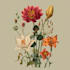 make a botanical illustration with scientific focus