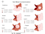 create professional gis maps and spatial analysis using arcgis