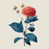 draw botanical vector illustration of plants