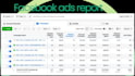 create and manage google ads and facebook ads campaign
