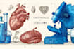 create anatomy, medical, and scientific illustrations
