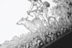 draw illustrations in black and white, characters, objects