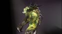 design 3d articulated game ready monster creature, alien creatures,3d animation
