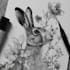 draw an animal and botanical illustration