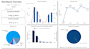 create powerful automated dashboards and eye catching visuals for your analysis