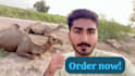wish funny happy birthday video