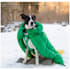create dog harness, dog mat design and techpack