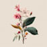draw animal and botanical illustrations