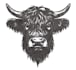 do quick embroidery logo digitizing for dst emb and pes file