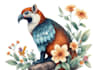 draw animal and botanical illustrations