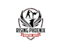design proffesional phoenix martial arts logo