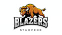 make buffalo mascot logo without any copyright concept