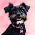 draw pop art dog cat pet potrait