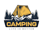 design a professional summer camp logo