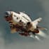 create spaceship concept art for you