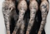 hand draw anime tattoo sleeve design