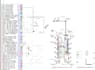 provide structural concrete and rebar quantity takeoff services