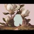 paint watercolour botanical illustrations
