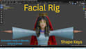 rig your humanoid character in blender game ready