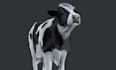 do 3d animal model, xgen hair, 3d creature, realistic fur, 3d animal animation